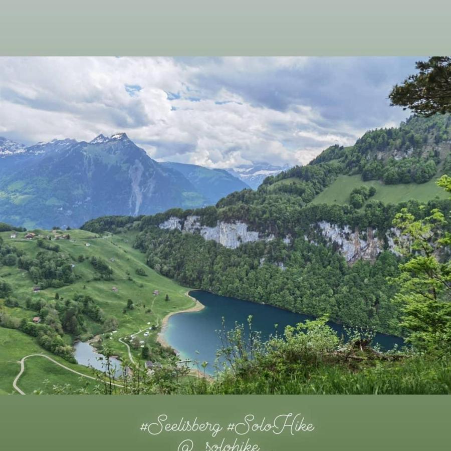 Schoene In Traumlage Solohike * Seelisberg