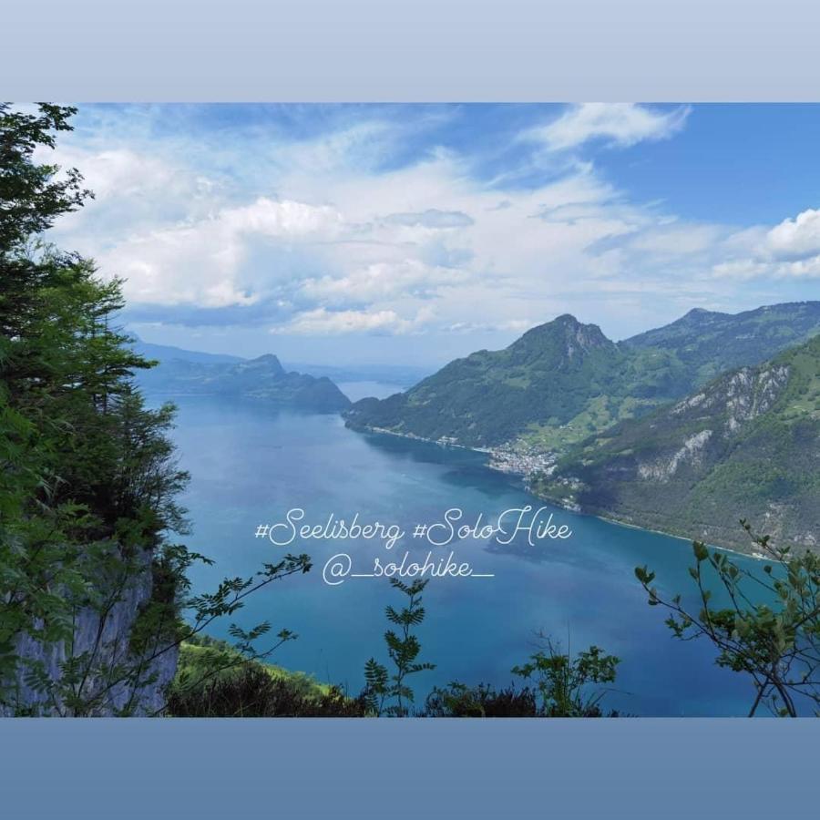 Apartment Schoene In Traumlage Solohike