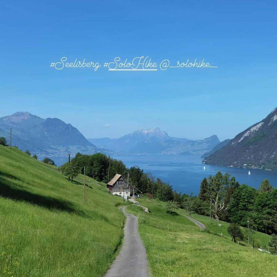 Apartment Schoene In Traumlage Solohike