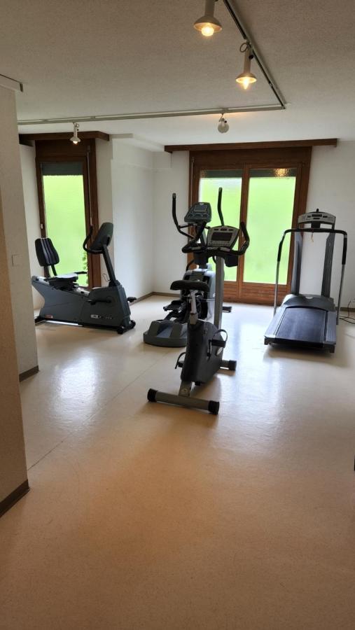 Schoene In Traumlage Solohike Apartment Seelisberg