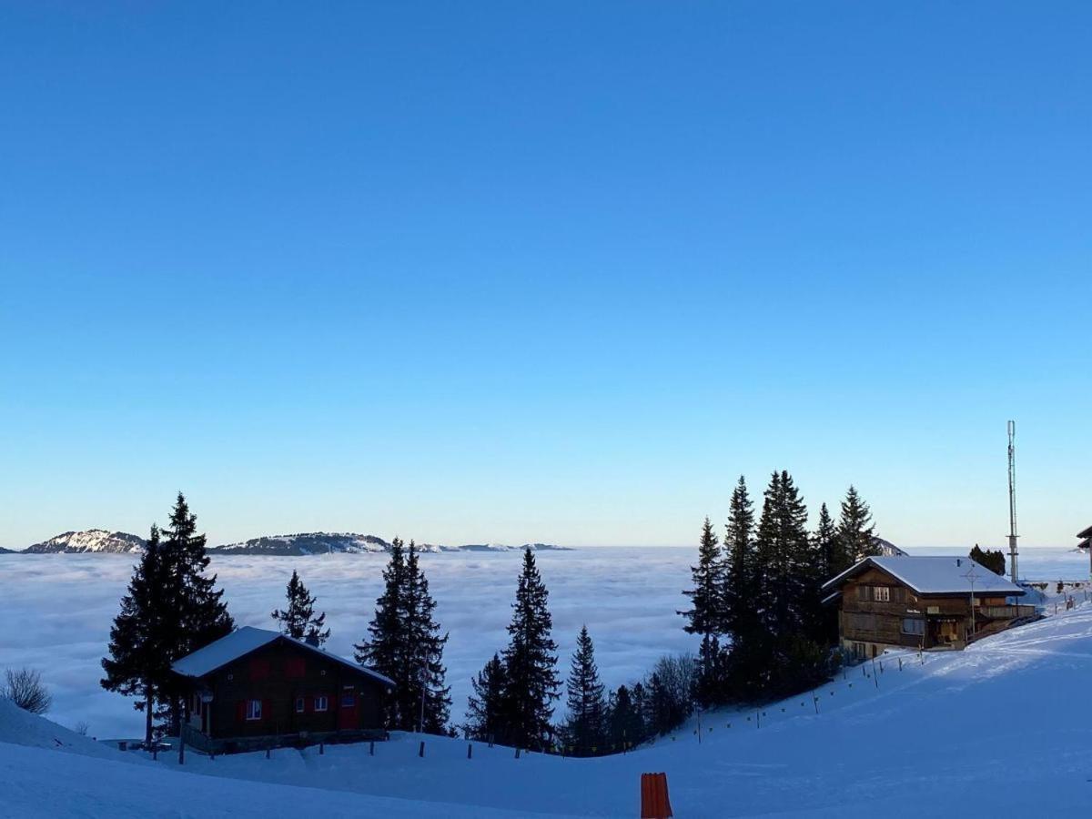 Schoene In Traumlage Solohike *